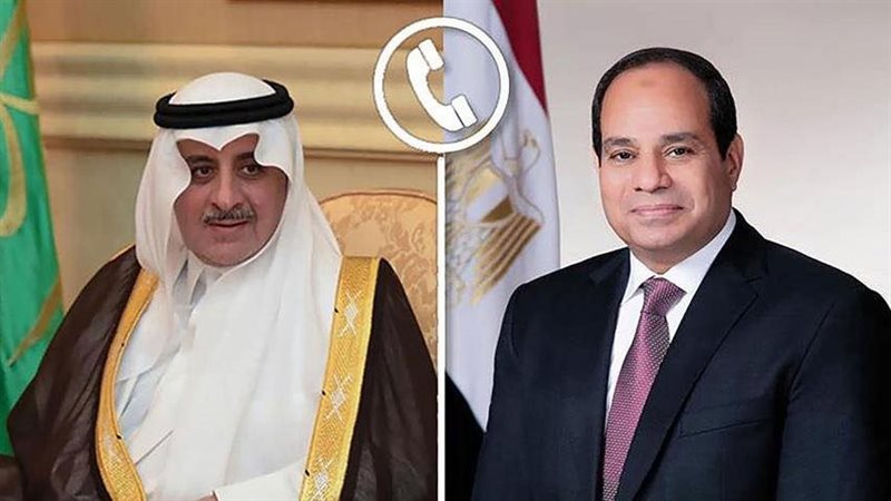 الرئيس السيسي وأمير