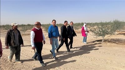 مركز خدمات النثيلة يستقبل وفدا من القيادات التنفيذية لمحافظة شمال سيناء