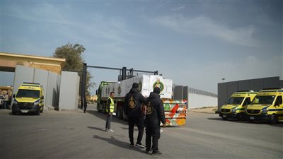 صندوق تحيا مصر وبيت الزكاة يعلنان دخول 780 طن غذاء إلى قطاع غزة