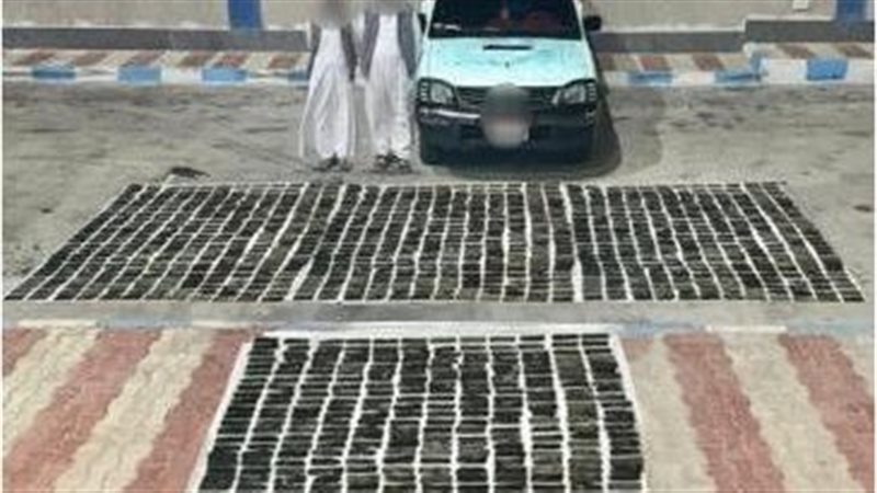 جانب من المضبوطات