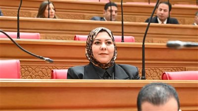 شيماء نبيه تعديلات قانون الخدمة العسكرية والوطنية تراعي البعد الإنساني