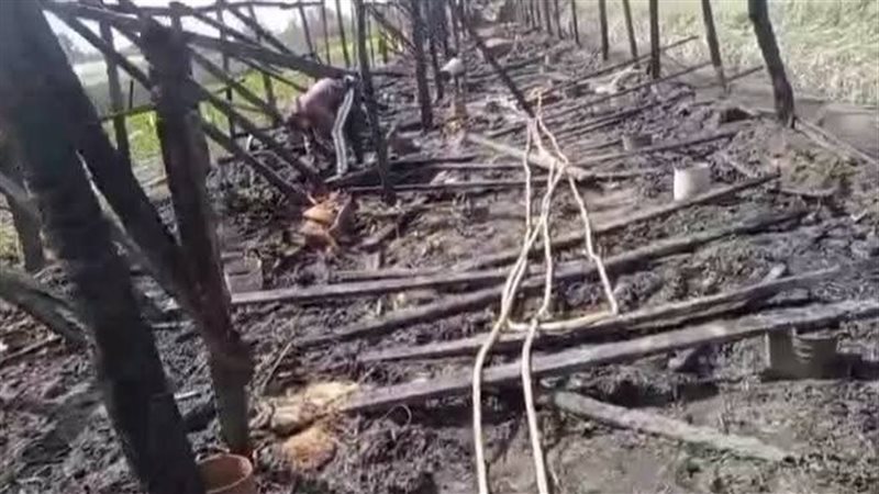 جانب من الخسائر