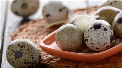 فرط الحركة وتأخر الكلام عند الأطفال.. فوائد مذهلة لبيض السمان