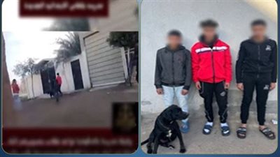 كشف ملابسات فيديو تعدي طلاب على معلمة أمام مدرسة بالدقهلية