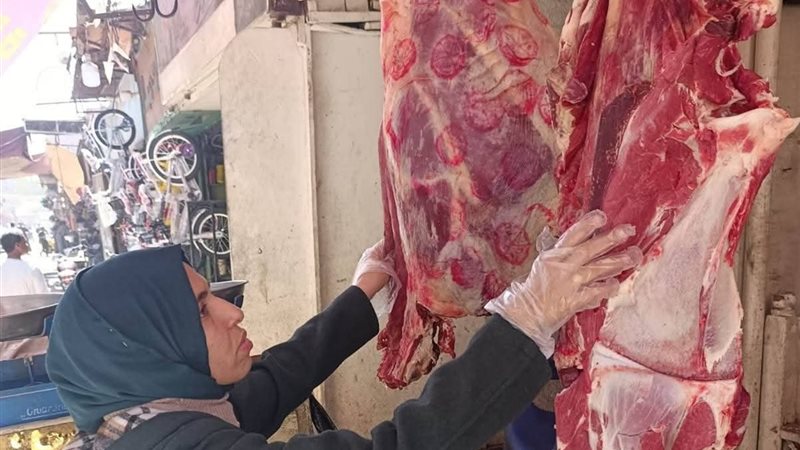 حملات تفتيشية مكثفة