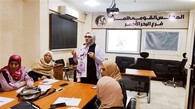 القومي للمرأة ينظم فعاليات البرنامج التدريبي «تمكين الأسرة المصرية»