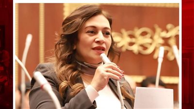 اقتراح برلماني لتعزيز دمج ذوي الإعاقة في سوق العمل وتحويلهم لقوة إنتاجية