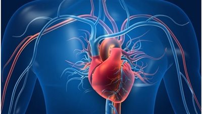 دراسة علمية تقر أول علاج عالمي لقصور القلب بالخلايا الجذعية المحفزة