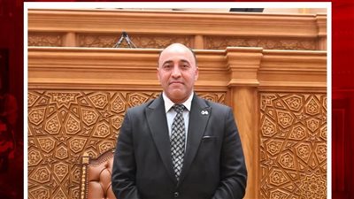 حسام الخشت لرئيس هيئة تنمية الصعيد: «هتيجي المجلس 10 مرات.. ده مال عام»