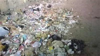 أهالي فرشوط يستغيثون من تراكم القمامة وانتشار الحشرات والروائح الكريهة|صور