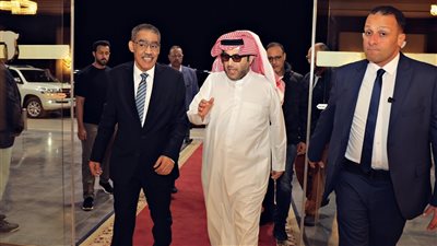 ضياء رشوان: توقيت زيارة تركي آل الشيخ يحمل دلالات واضحة حول علاقات البلدين