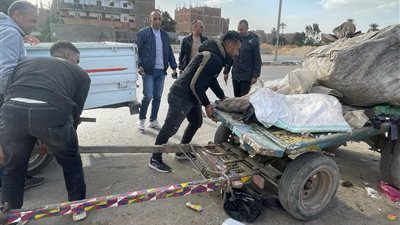 التحفظ على 57 عربة كارو وتروسيكل خلال حملات للتصدي للنباشين والفريزة بالجيزة