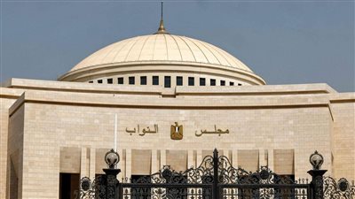 حقوق إنسان النواب تفتح ملفات ذوي الإعاقة والعنف الأسري وعمالة الأطفال