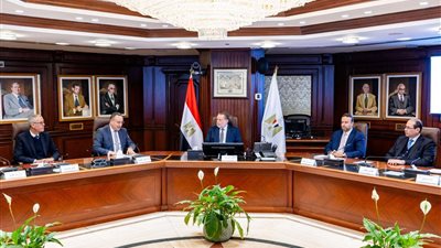 محافظ البنك المركزي المصري يلتقي وزير التعليم العالي لبحث التعاون المشترك