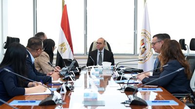 باستثمارات 100 مليون دولار.. إقامة مشروع صناعي في مصر لإنتاج قوالب الإطارات 