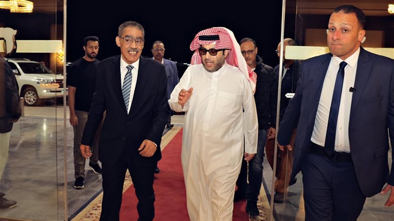 ضياء رشوان وتركي