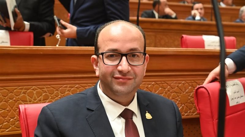 عمرو عويضة