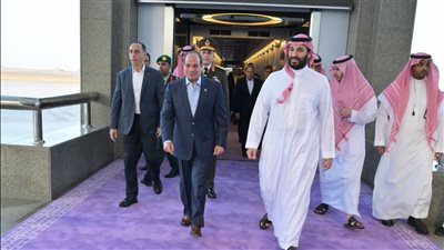 حزب الحرية المصري: زيارة الرئيس السيسي للسعودية تجسد قوة الشراكة بين البلدين