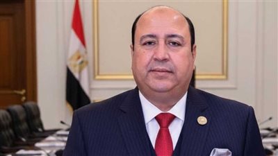 حسن جعفر: كلمة الرئيس السيسي اتسمت بالمصارحة والتأكيد على أمن دول الخليج 