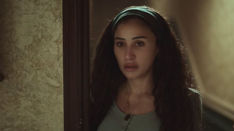 دينا الشربيني