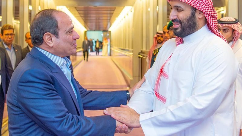 الرئيس السيسي وولي
