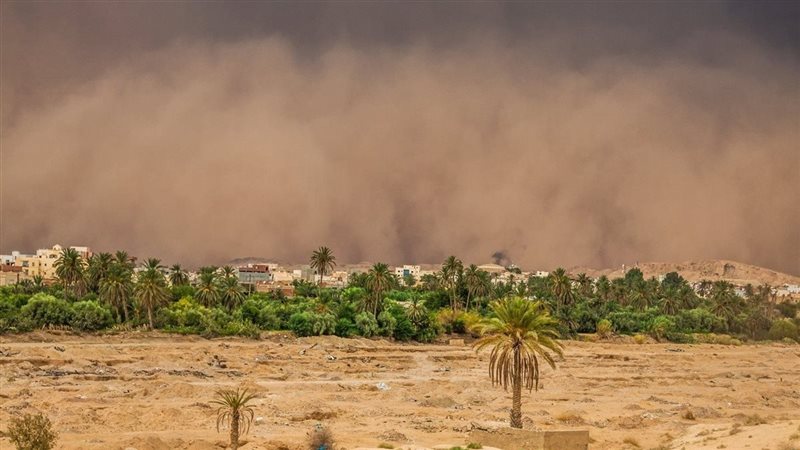 صورة موضوعية