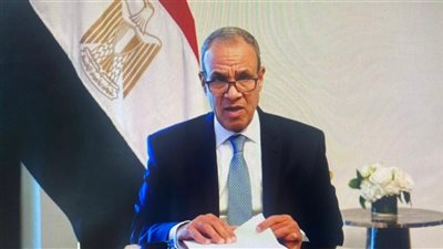 وزير الخارجية: المشروعات الروسية التي تنفذ بمصر مثال على العلاقات الاستراتيجية