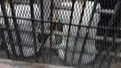 جنايات المنصورة تحدد 30 مارس للنطق بالحكم على متهمي تجارة الأوكسي بالدقهلية