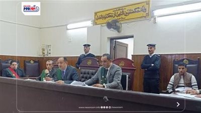السجن المشدد 5 سنوات لمتهمين في واقعة تعدٍ أحدثت عاهة مستديمة بالمنيا