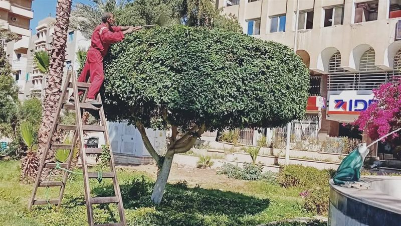 قنا