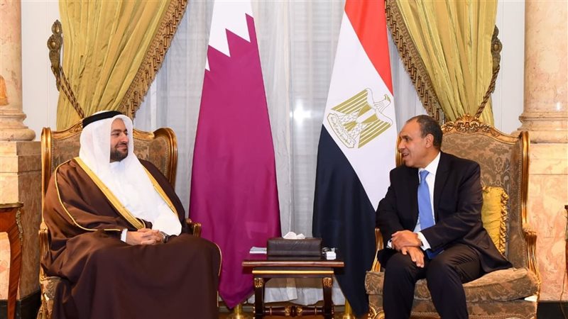 وزيرا خارجية مصر