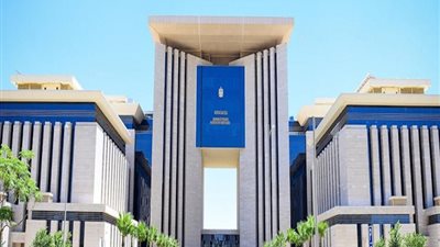 وزارة الخارجية تتابع احتياجات المصريين بالخارج وتكثف جهود تيسير خدماتهم