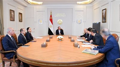 السيسي يستقبل رئيس شركة GCL الصينية لبحث تعزيز التعاون في الطاقة المتجددة