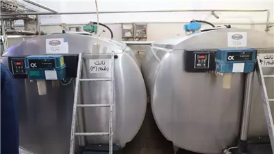 مراكز تجميع الألبان.. خطوة هامة لتعزيز الإنتاج ودعم صغار المربين | تفاصيل 