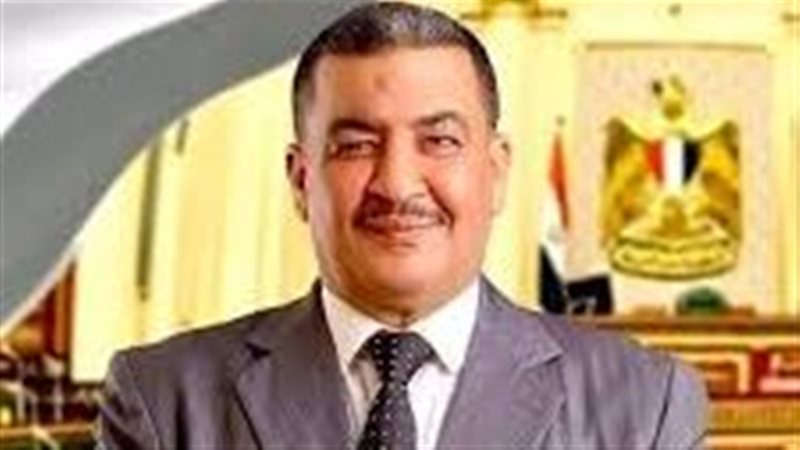 محمود سيد المنوفي