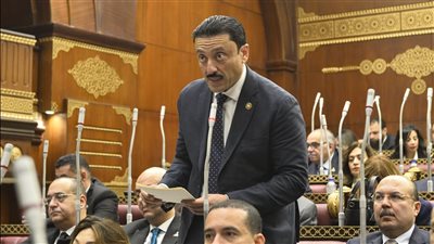 النائب محمد رزق يتقدم باقتراح برغبة لتنظيم المحتوى على منصات التواصل الاجتماعي