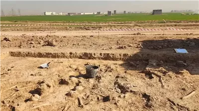 عمرها 1400 عام.. اكتشاف مقبرة جماعية تضم أكثر من 100 جمجمة