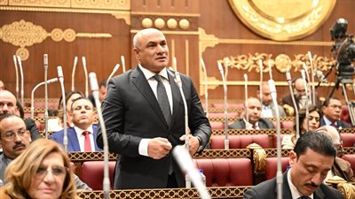 شعبان رأفت: العلاقات المصرية السعودية تمثل عمودًا فقريًا لأمن واستقرار المنطقة