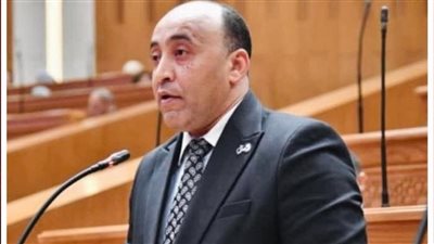 الدعم التمويني وسوق العقارات وتنمية المشروعات..حسام حسن يتقدم بـ3 طلبات إحاطة 