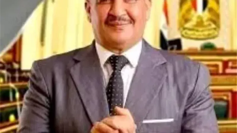محمود السيد المنوفي