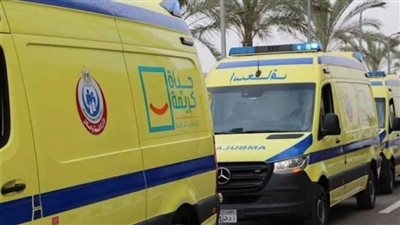 نهاية مأساوية وسط النيران.. مصرع مزارع أثناء حرق مخلفات القصب بأرمنت