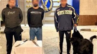 بعد نشر «نيوز رووم».. الداخلية تكشف تفاصيل مشاجرة الأسلحة البيضاء في المنوفية