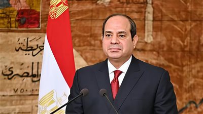الرئيس السيسي يشدد على موقف مصر الثابت بضرورة تغليب الحلول السياسية