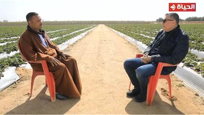 «قصة كفاح ملهمة».. من استصلاح الارضي الصحراوية إلى امتلاك 17 فدان