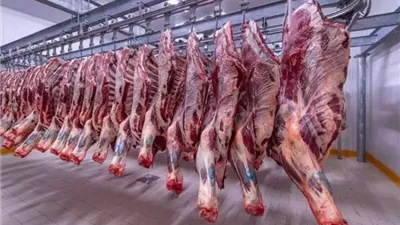 أسعار اللحوم الطازجة اليوم الأحد 1 مارس 2026..متوسط الكيلو 413 جنيهًا