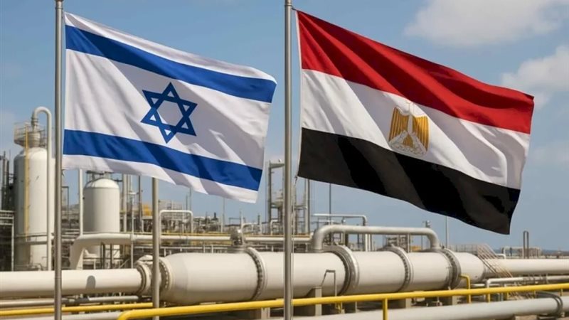 أرشيفية 