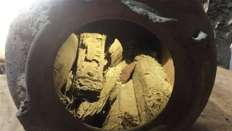 برديات نادرة 