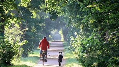 ركوب الدراجات الكهربائية يقلل السكري ويحسن النوم.. إليك التفاصيل