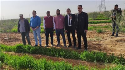 تعزيز الوجود الميداني بسيناء.. أبرز أنشطة وزراة الزراعة خلال فبراير | تفاصيل 