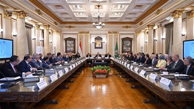 رئيس جامعة السادات يشارك في الاجتماع الدوري للمجلس الأعلى للجامعات بالقاهرة